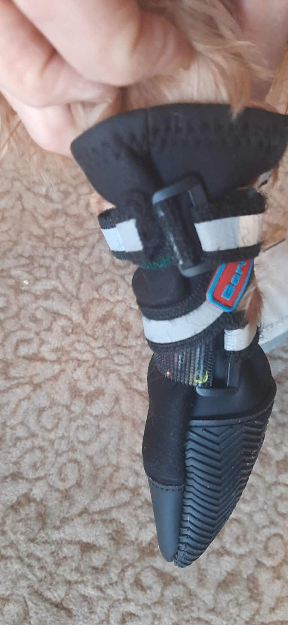 All Weather Neoprene Paw Protector Dog Boots with Reflective Straps in 5 Sizes! (Black Large) customer photo 1
