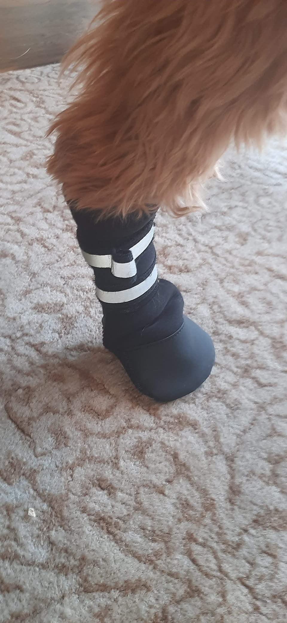 All Weather Neoprene Paw Protector Dog Boots with Reflective Straps in 5 Sizes! (Black Large) customer photo 2