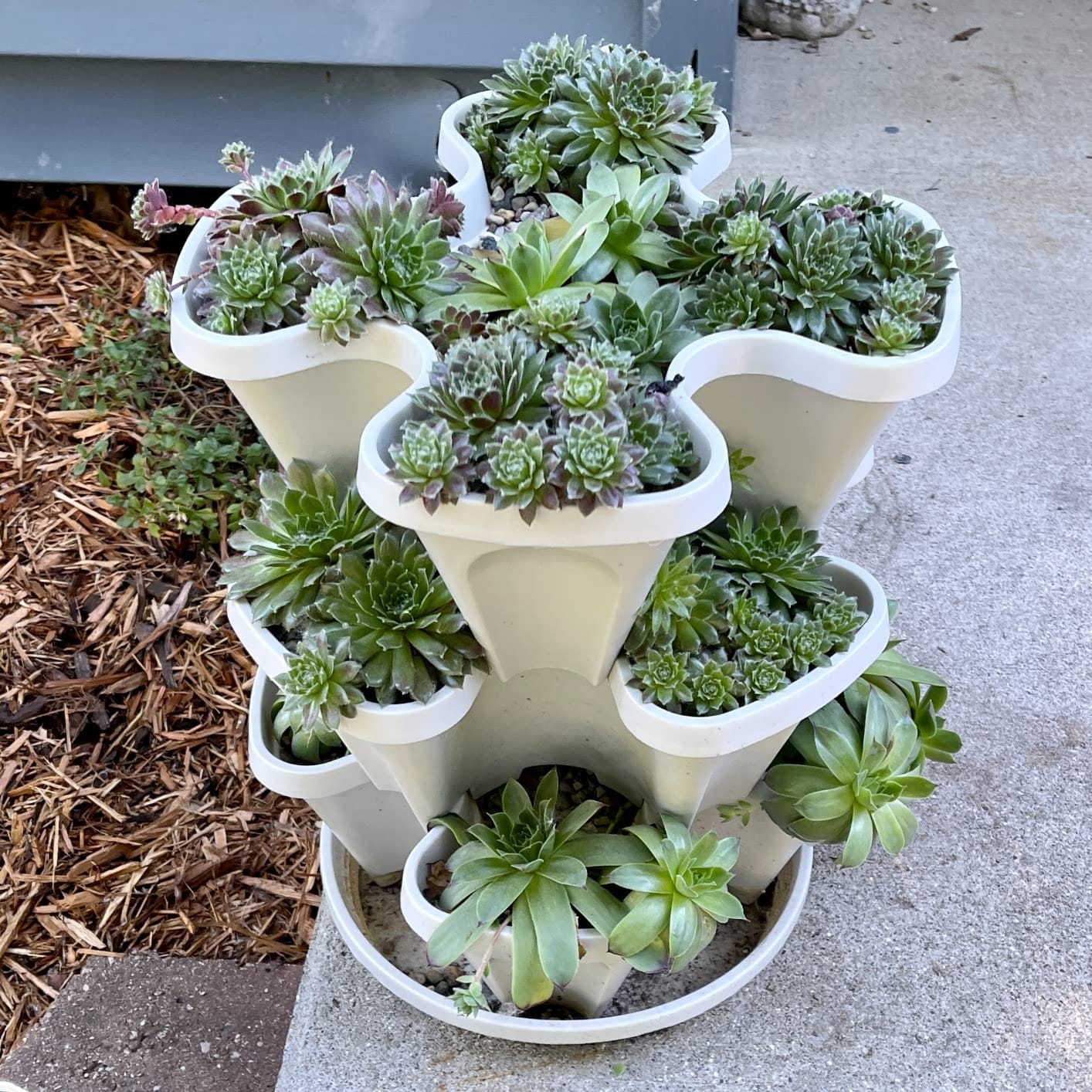 Mr. Stacky Self Watering 3 Tier Stackable Garden Vertical Plastic Planter Set, Hunter Green customer photo 2