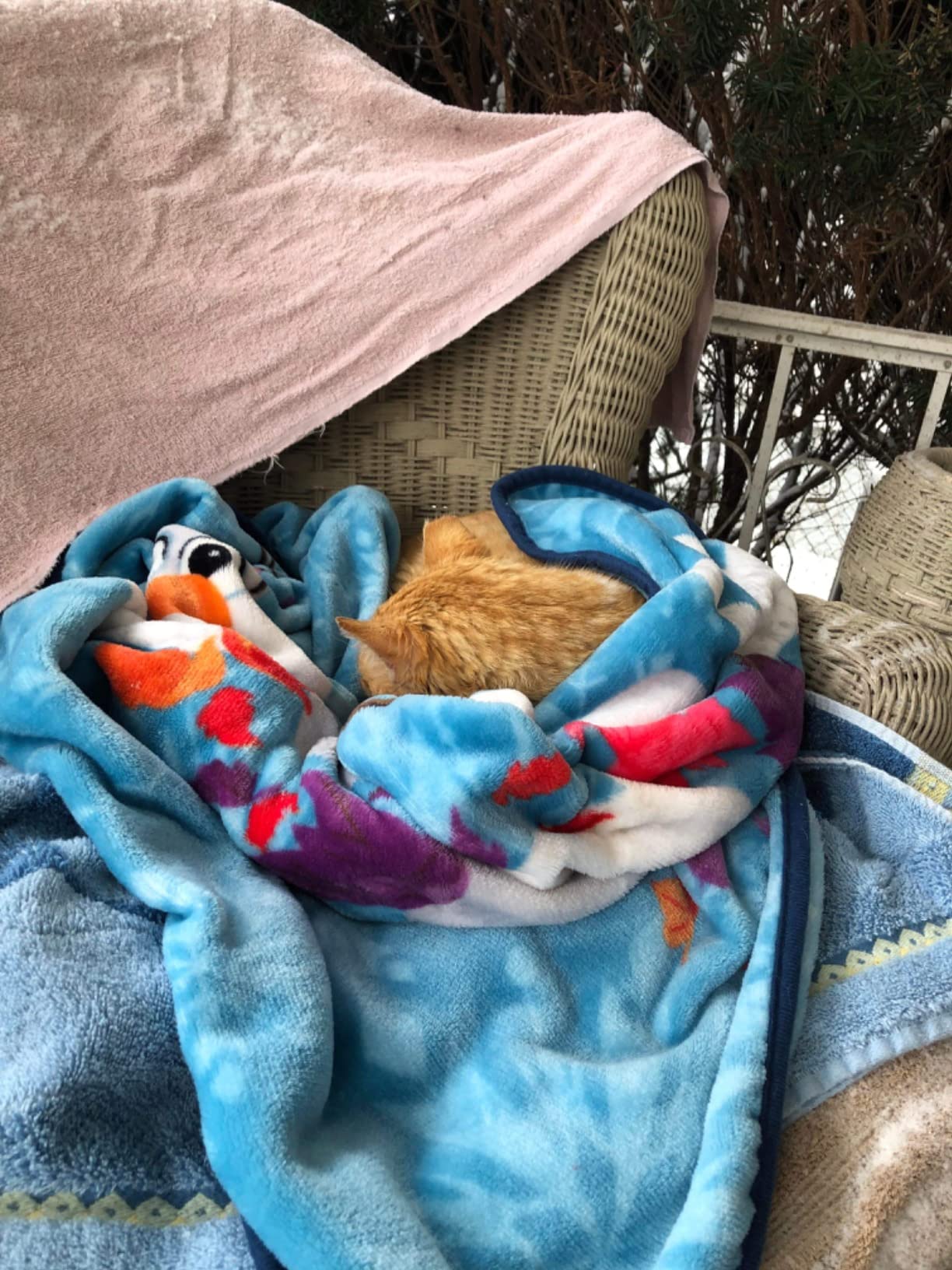 K&H Heating Pad, Extreme Weather Kitty Pad, Indoor Outdoor, Safety Listed customer photo 2