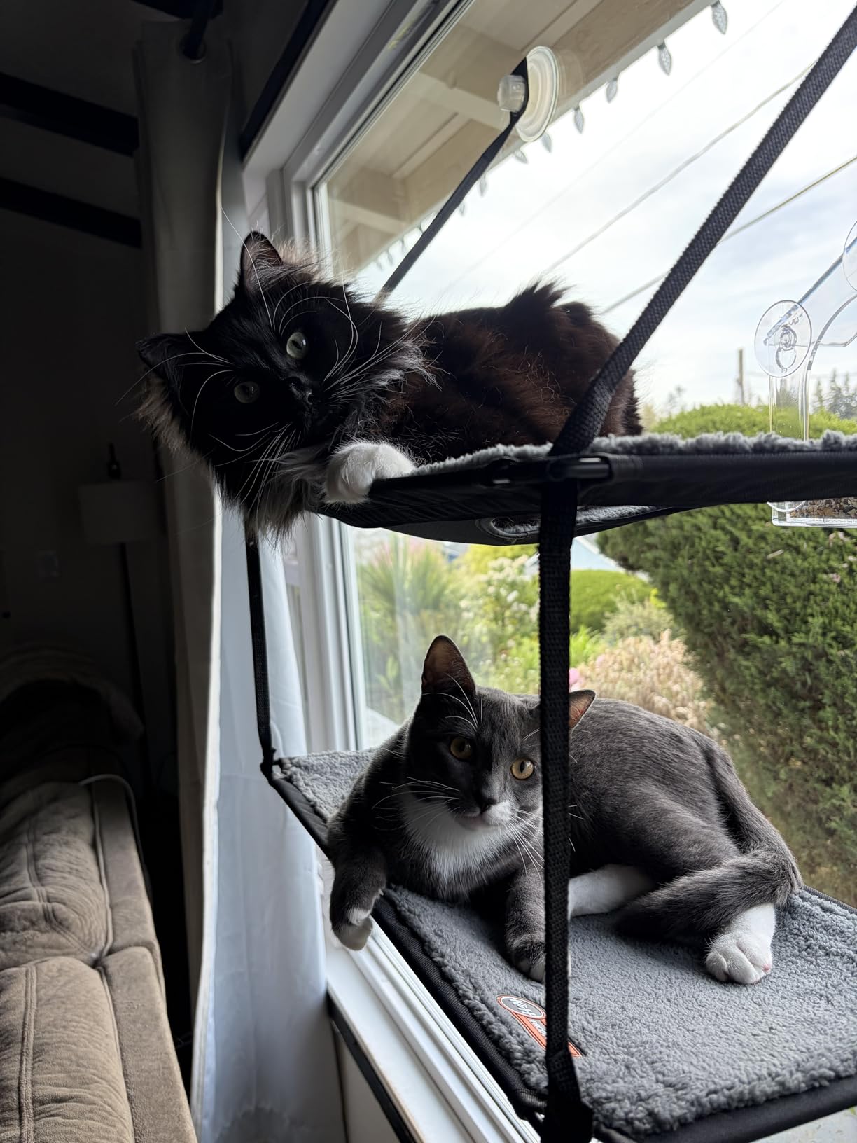 K&H Cat Window Perch, EZ Mount Double Stack Kitty Sill For Large Cats, Gray customer photo 2