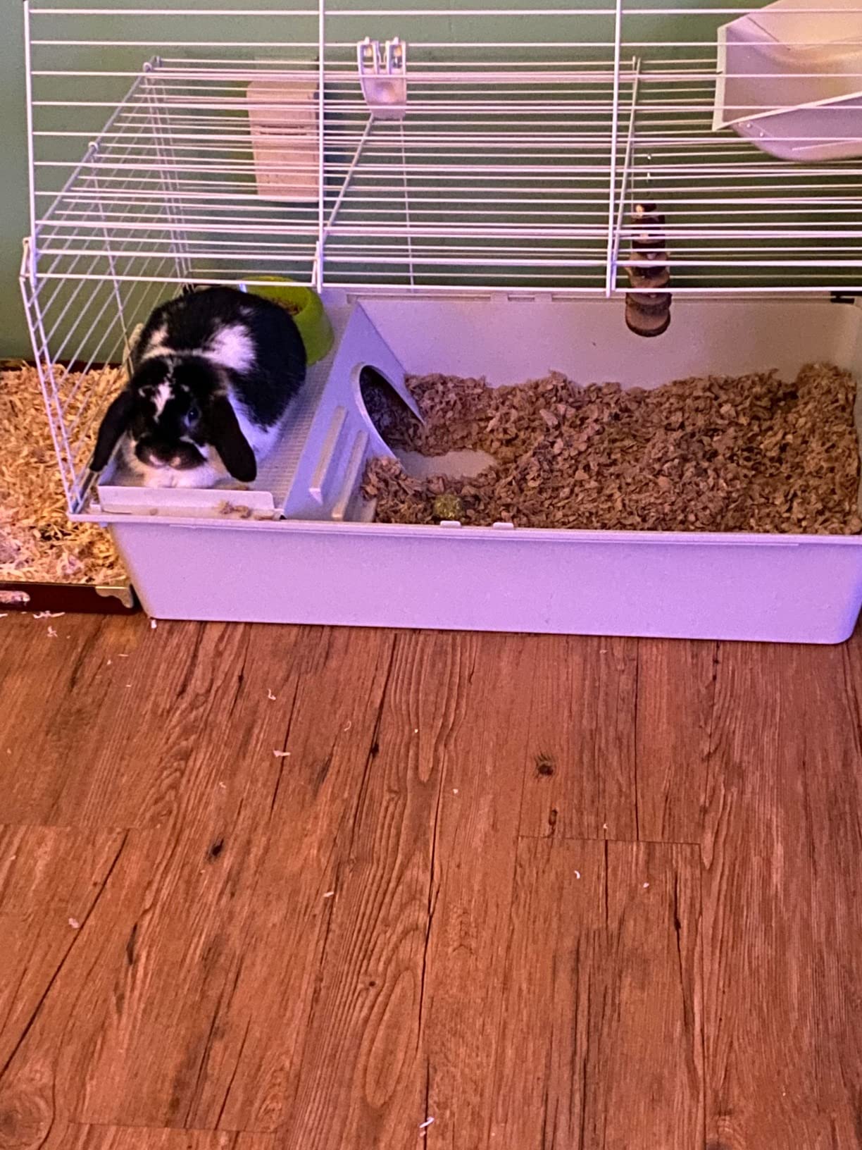 Ferplast Cavie Guinea Pig Cage & Rabbit Cage | Pet Cage Includes All Accessories to Get You Started & a 1-Year Warranty customer photo 2
