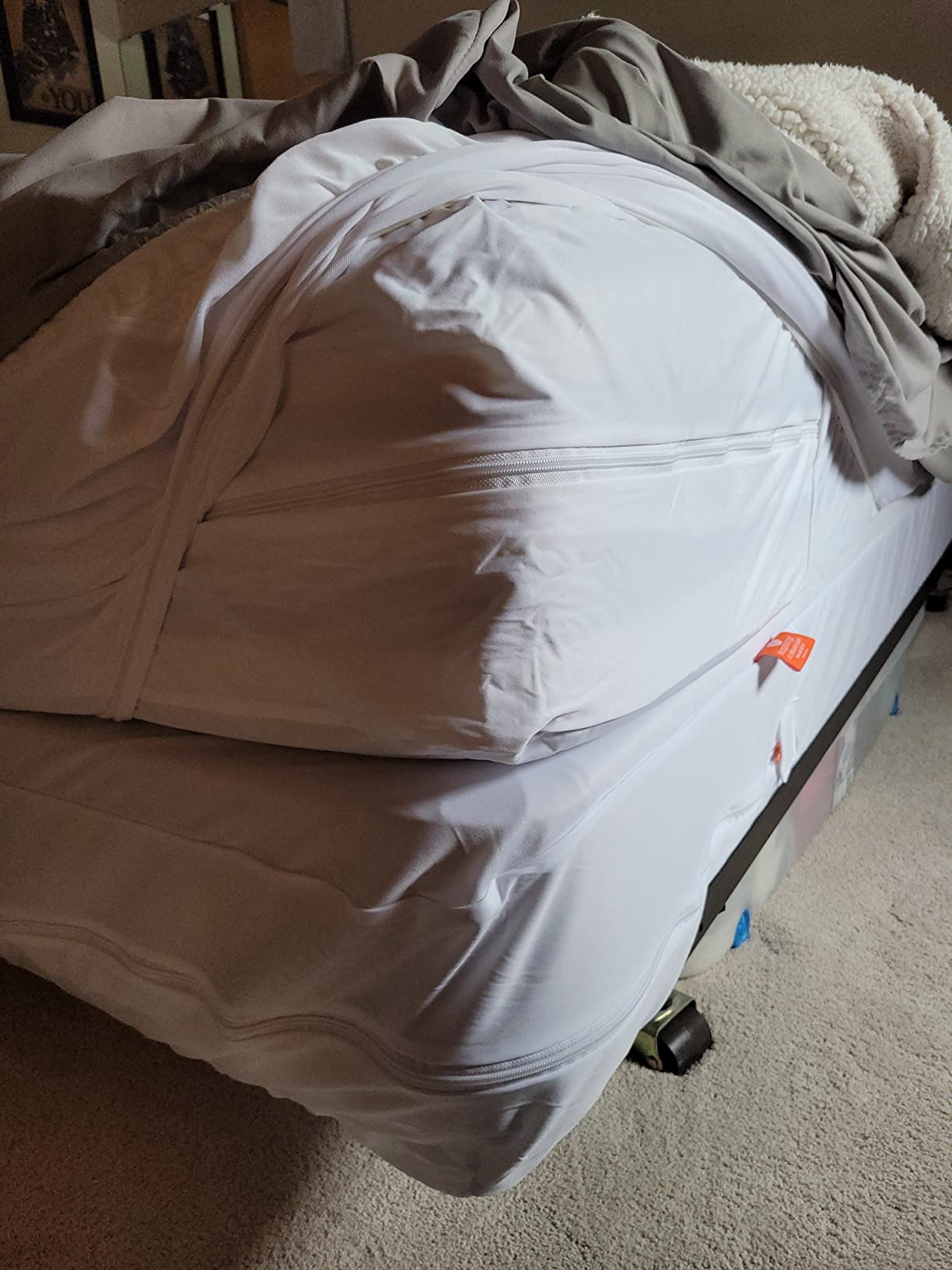 HOSPITOLOGY PRODUCTS Mattress Encasement - Zippered Bed Bug Dust Mite Proof Hypoallergenic - Sleep Defense System - Queen - Waterproof - Stretchable - Standard 12