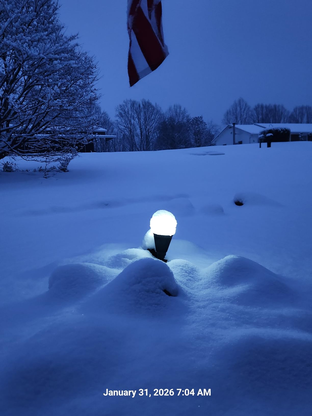 FALOVE 2 Pack Solar Spot Lights Outdoor Cool White LED Waterproof Landscape customer photo 1