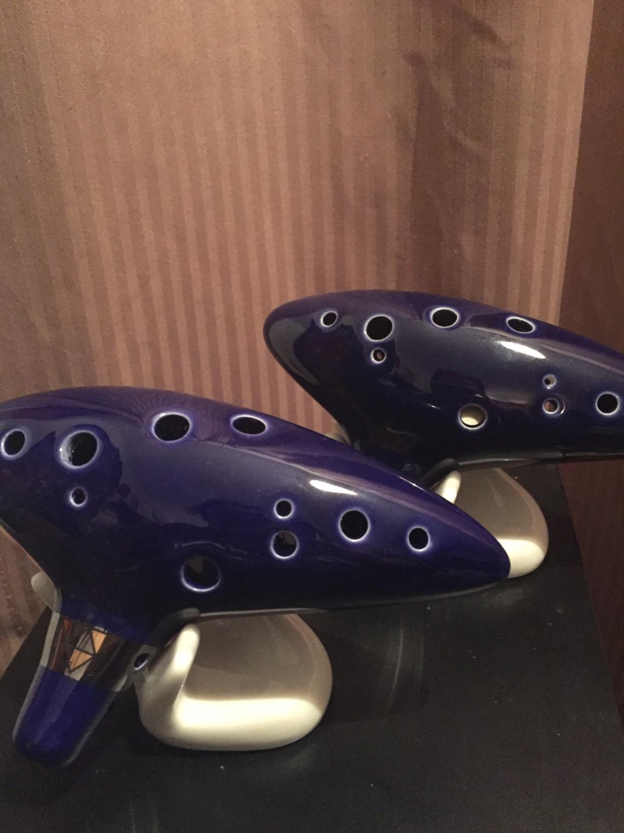Ohuhu Ocarina 12 Hole Alto C with Song Book, Gift for Music Fans Blue customer photo 1