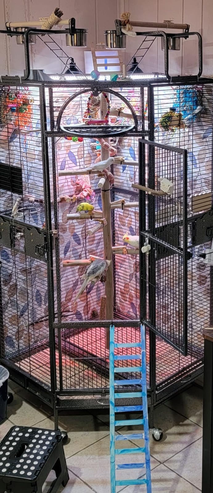 Parrot Escape Jumbo Corner Bird Cage Aviary (X-Large) customer photo 2