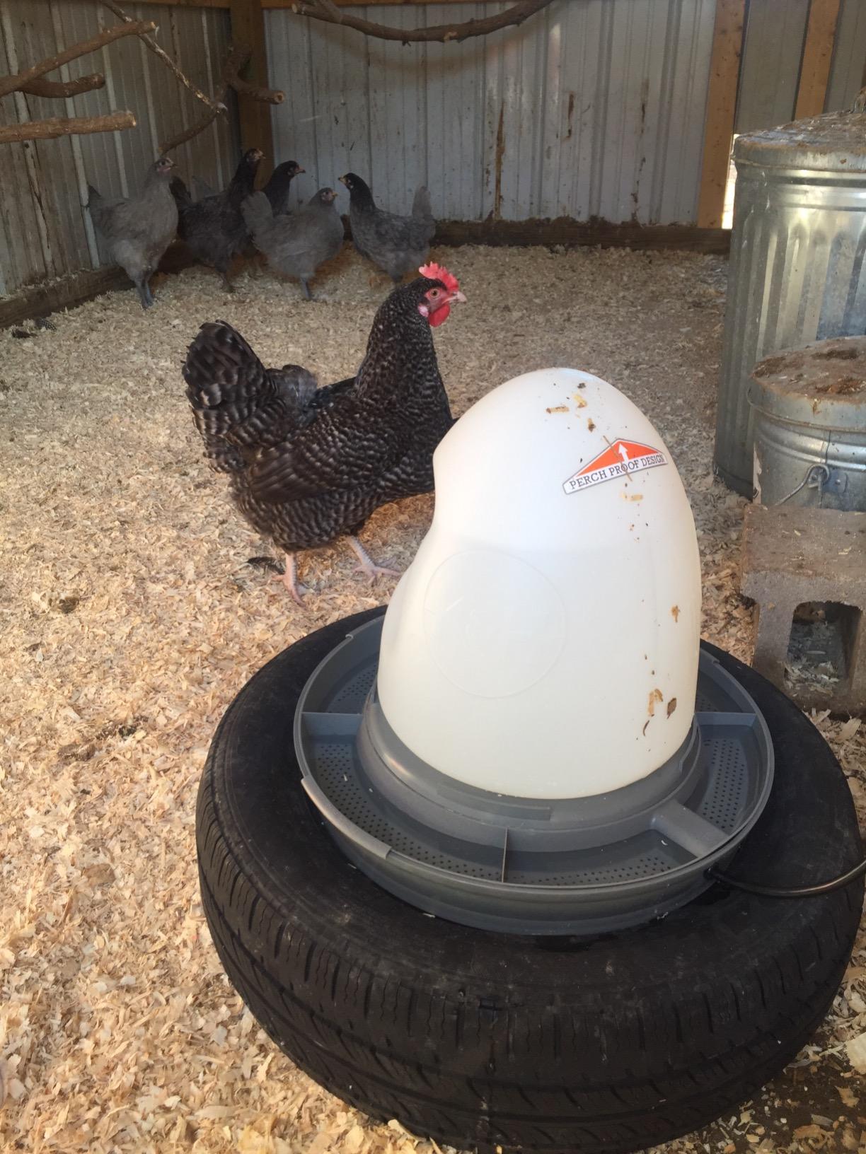 K&H Pet Products Thermo-Poultry Waterer 2.5gal. (Heated) Gray 60 Watts - No Roost Top & Non-Spill Refill customer photo 1