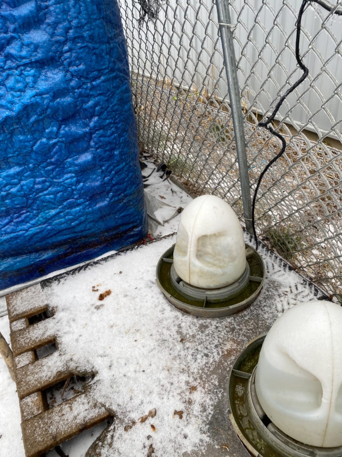 K&H Pet Products Thermo-Poultry Waterer 2.5gal. (Heated) Gray 60 Watts - No Roost Top & Non-Spill Refill customer photo 2