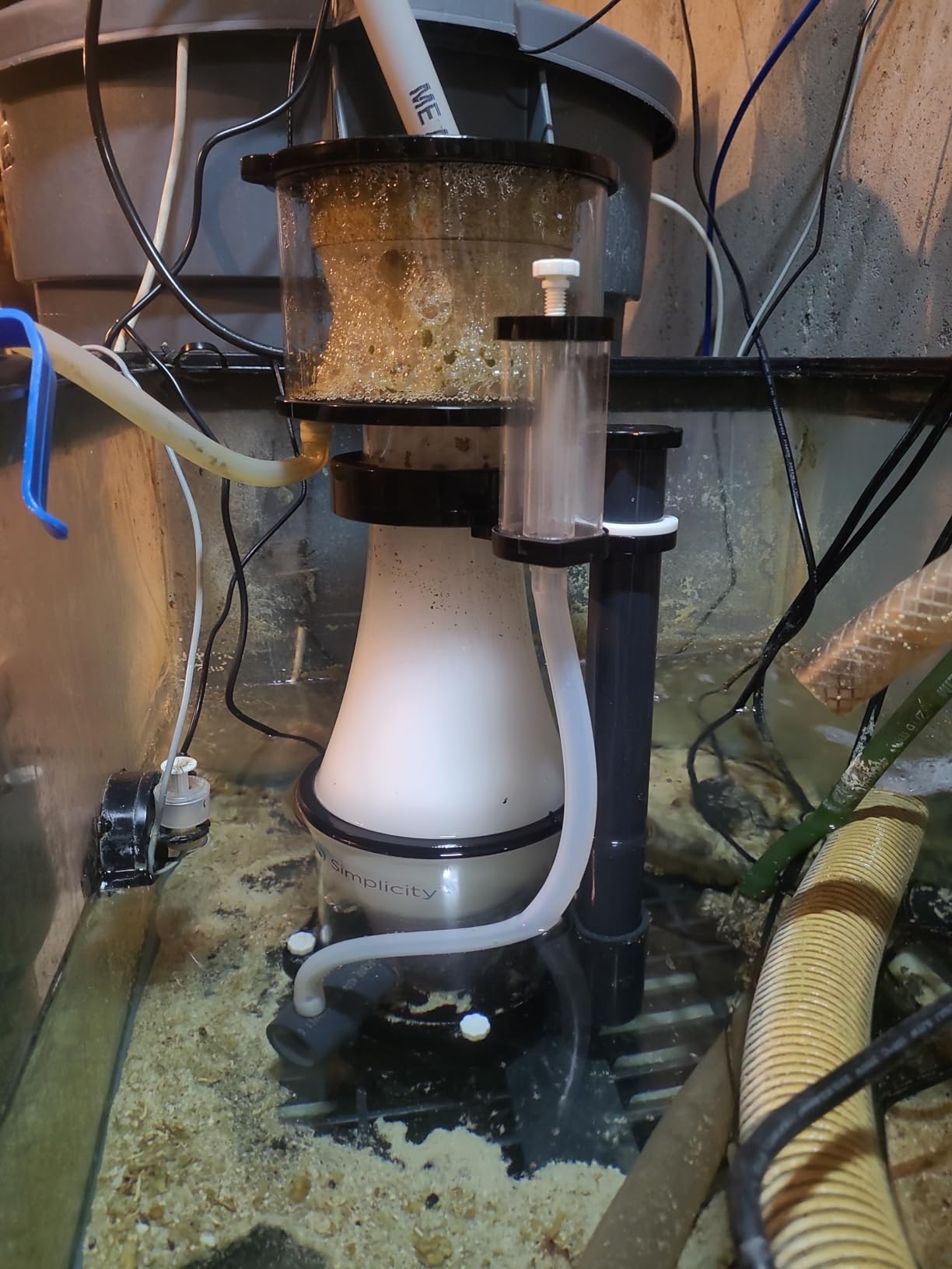 Simplicity 240DC Protein Skimmer for Saltwater Aquariums customer photo 1