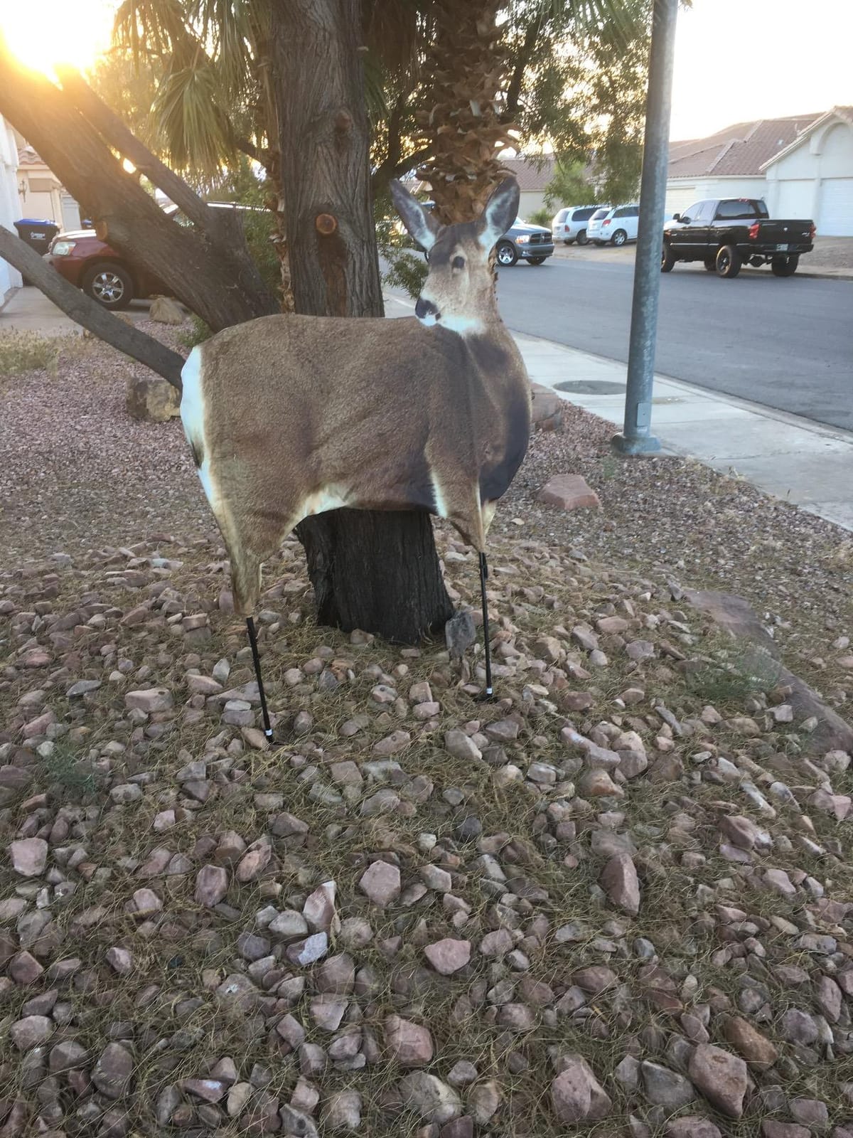 Miss Muley by Montana Decoy customer photo 1