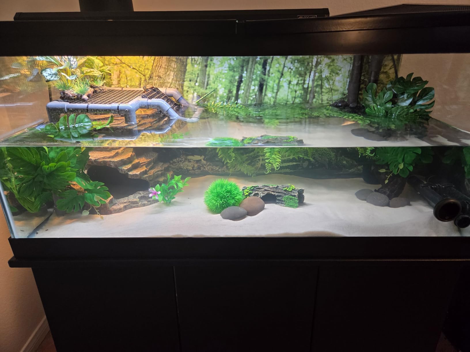 Galápagos (05400) Terrarium Background Clings, 11.125