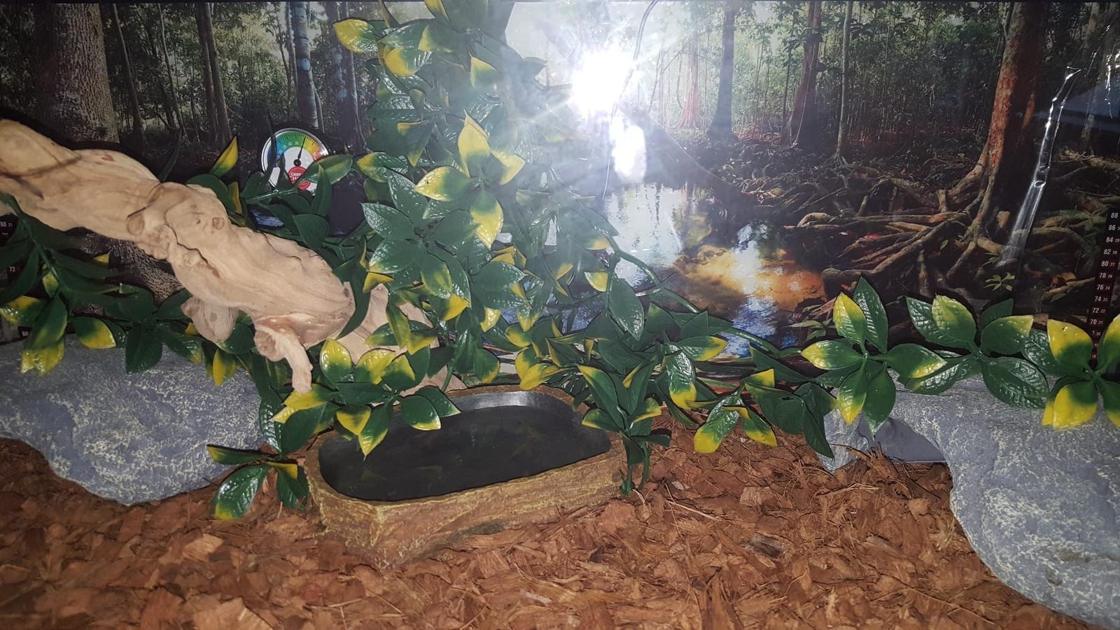 Galápagos (05400) Terrarium Background Clings, 11.125