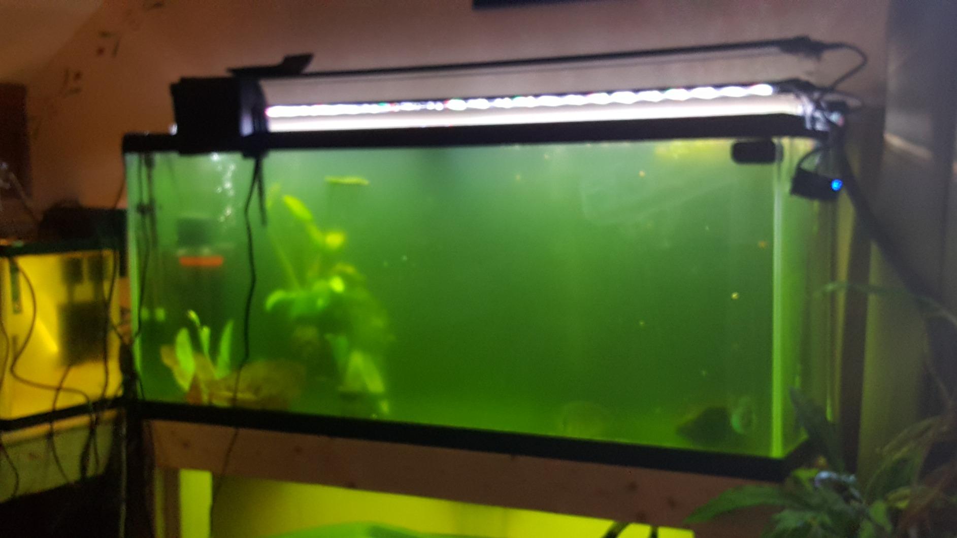 Marineland Magnum Polishing Internal Canister Filter, For Aquariums Up To 97 Gallons customer photo 1