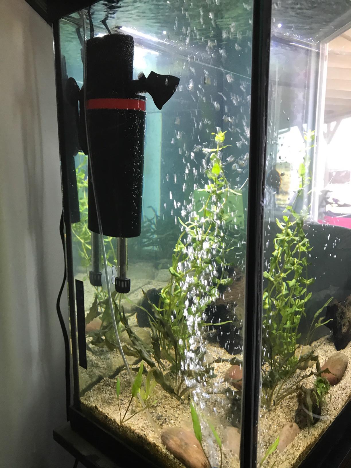 Marineland Magnum Polishing Internal Canister Filter, For Aquariums Up To 97 Gallons customer photo 2