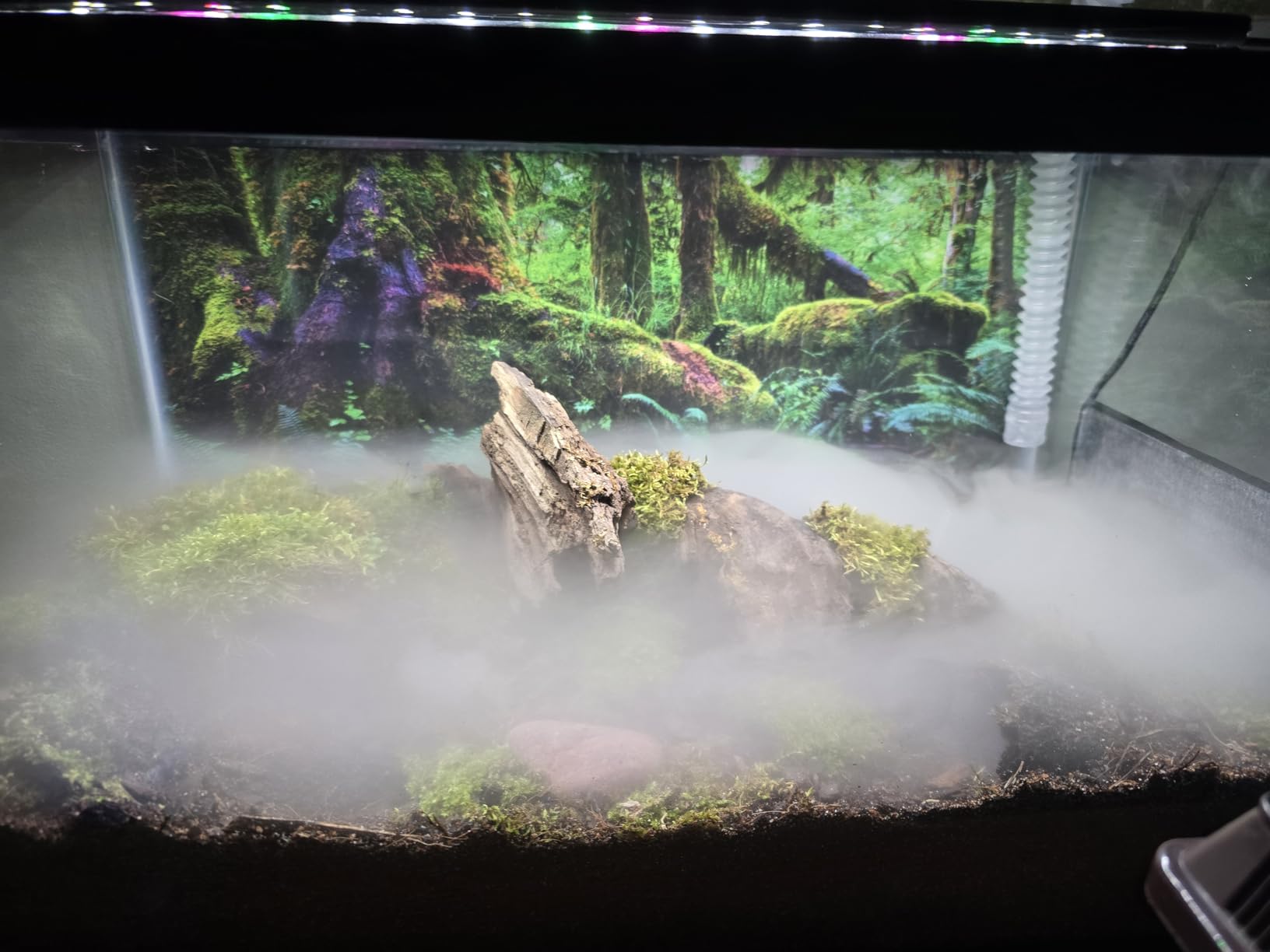 Evergreen Pet Supplies Reptile Fogger & Humidifier - Adjustable Fog Output for Mini Terrarium Fogger - 2 L Tank with Auto Shut-Off for Tortoise Humidifier - 2 L, Black/Clear customer photo 1