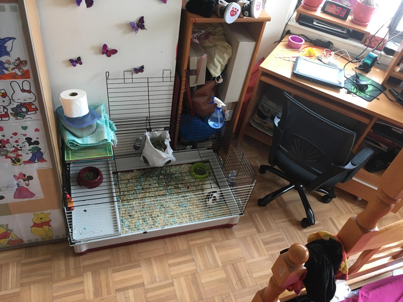 MidWest Homes for Pets 158 Wabbitat Deluxe Rabbit Home, Rabbit Cage, 39.5 L x 23.75 W x 19.75 H Inch, Maroon/White customer photo 2