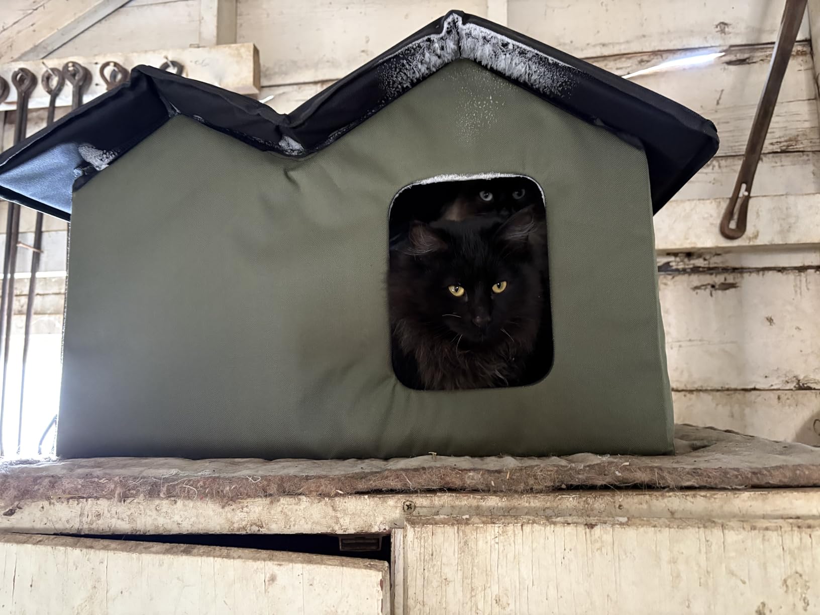 K&H Heated Cat House, Outdoor Extra-Wide Kitty House, Safety Listed, 20W customer photo 1