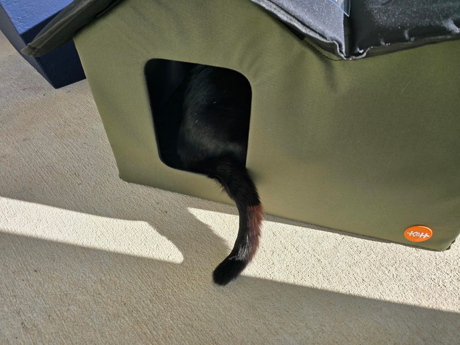 K&H Heated Cat House, Outdoor Extra-Wide Kitty House, Safety Listed, 20W customer photo 2