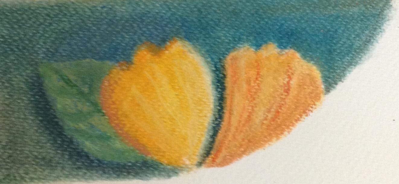MUNGYO Soft Pastel Set – 64 Vibrant Colors for Artists | Smooth & Blendable | Square Shape customer photo 1