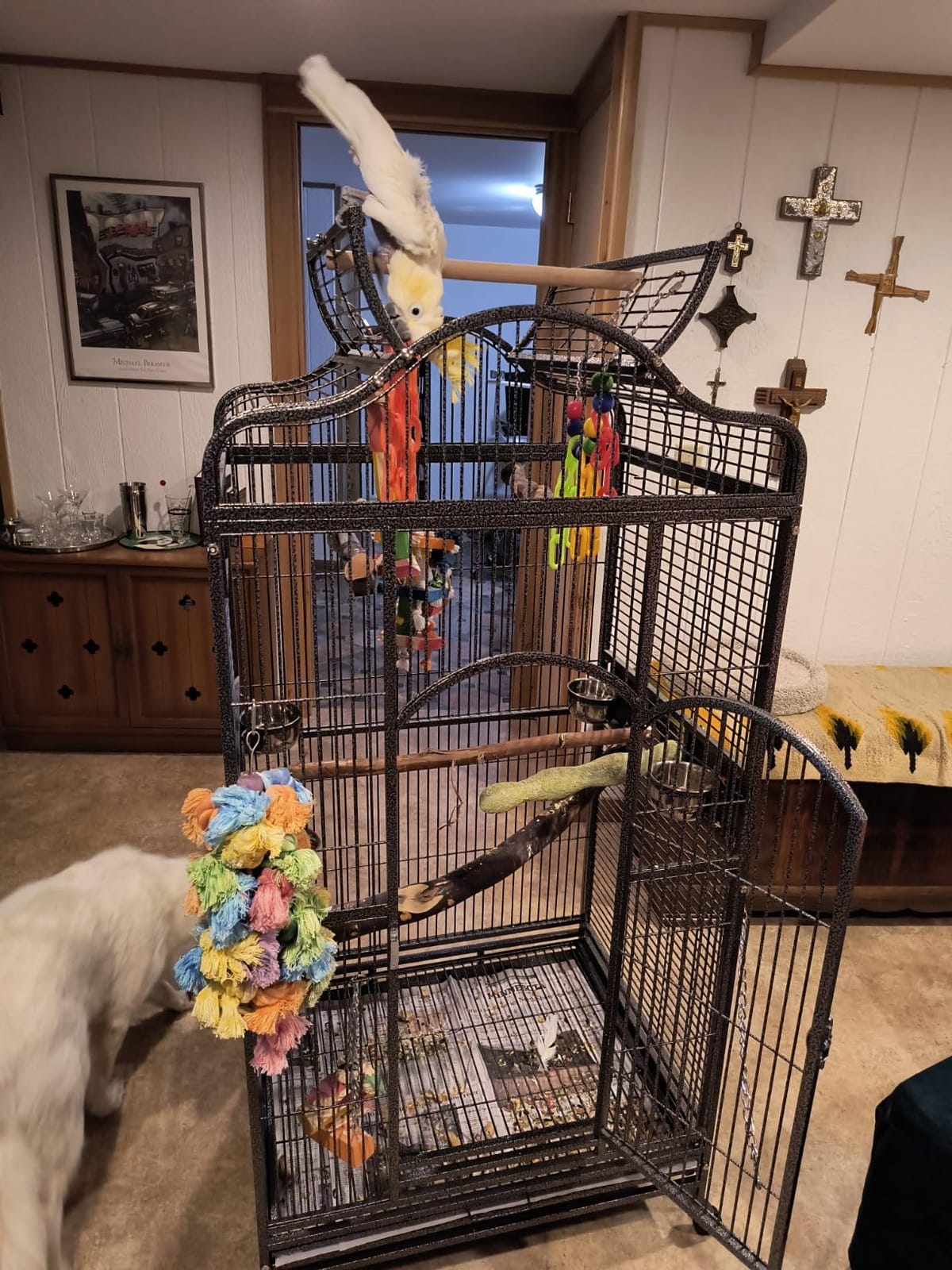 Extra Large Wrought Iron Open/Close Play Top Bird Parrot Cage, Include Metal Seed Guard Solid Metal Feeder Nest Doors Overall Dimensions: 35.25
