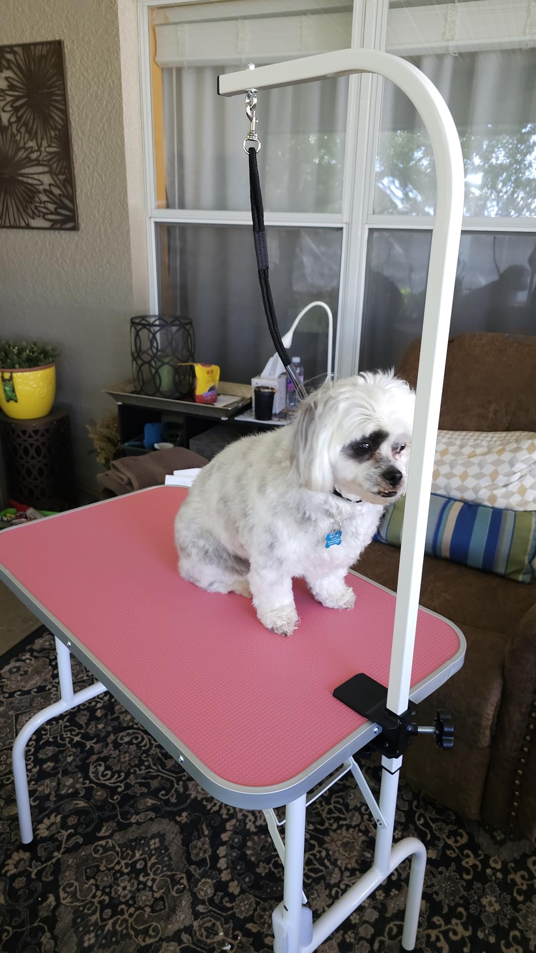 Yaheetech 32 Inch Sturdy Dog Grooming Table for Home, Black customer photo 1