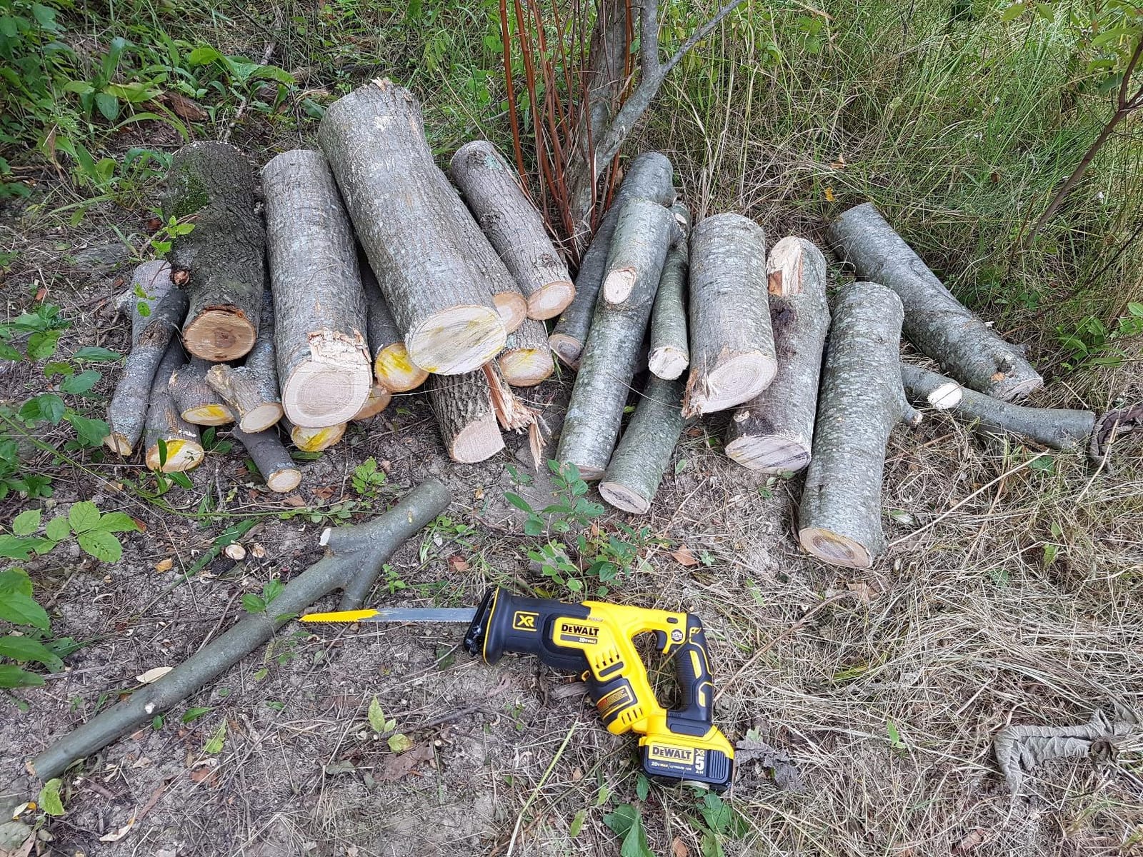 DEWALT 20V MAX XR Reciprocating Saw Cordless, Brushless, Compact,Variable Speed, Pivoting Head, LED Light, Tool Only (DCS367B) customer photo 1