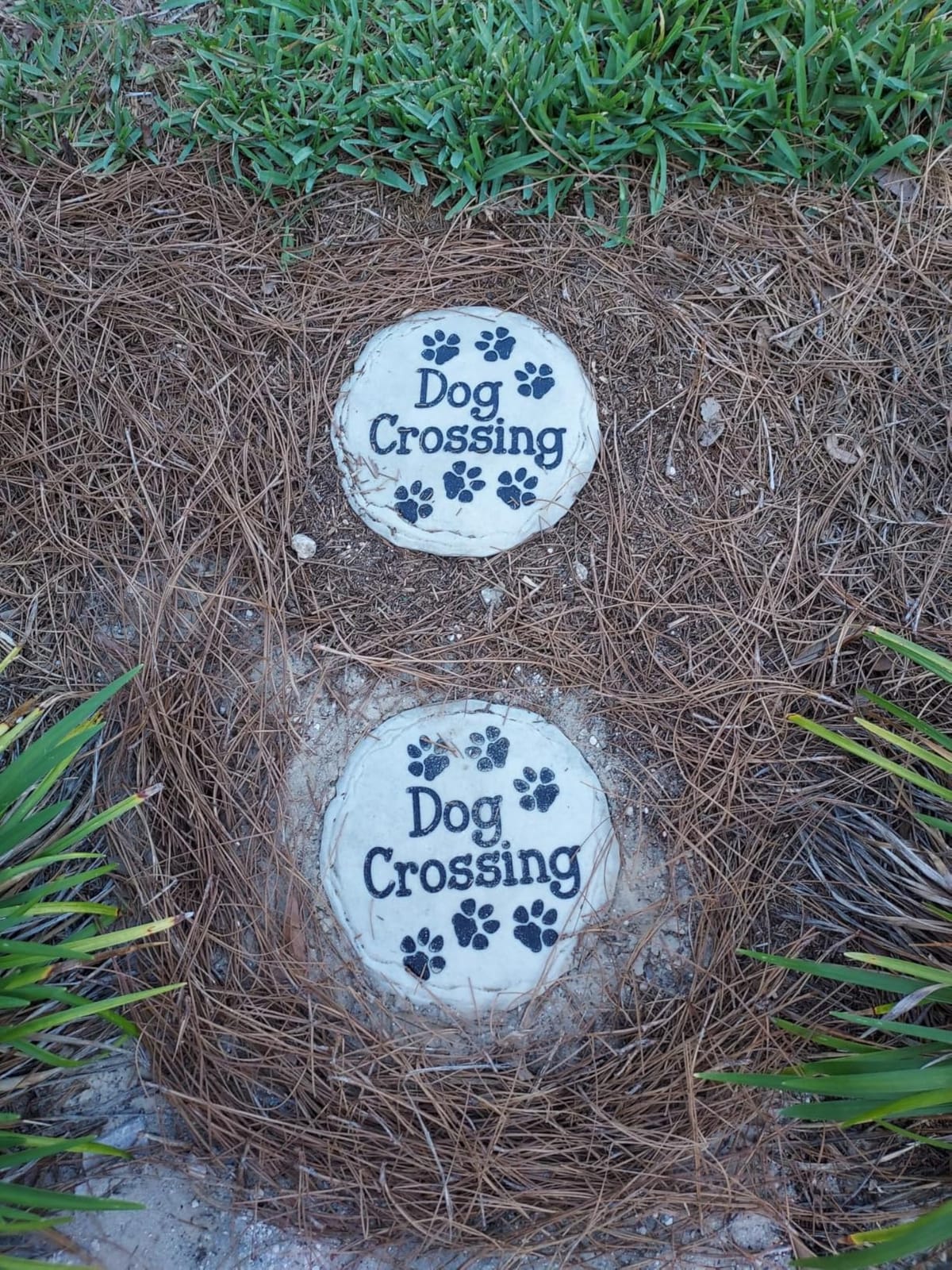 Spoontiques - Garden Décor - Grandma’s Garden Stepping Stone - Decorative Stone for Garden customer photo 2
