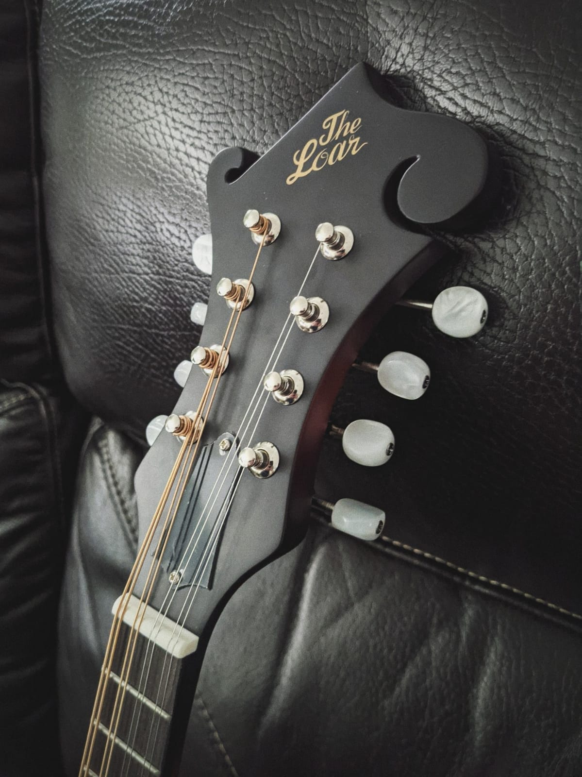 The Loar LM-310F-BRB Honey Creek F-Style Mandolin customer photo 2
