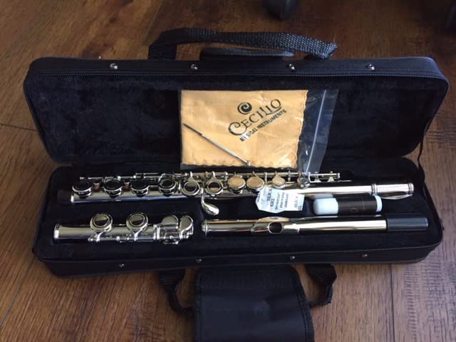 Mendini by Cecilio 16 Keys Closed Hole C Flute Kit for Beginners - Nickel customer photo 1