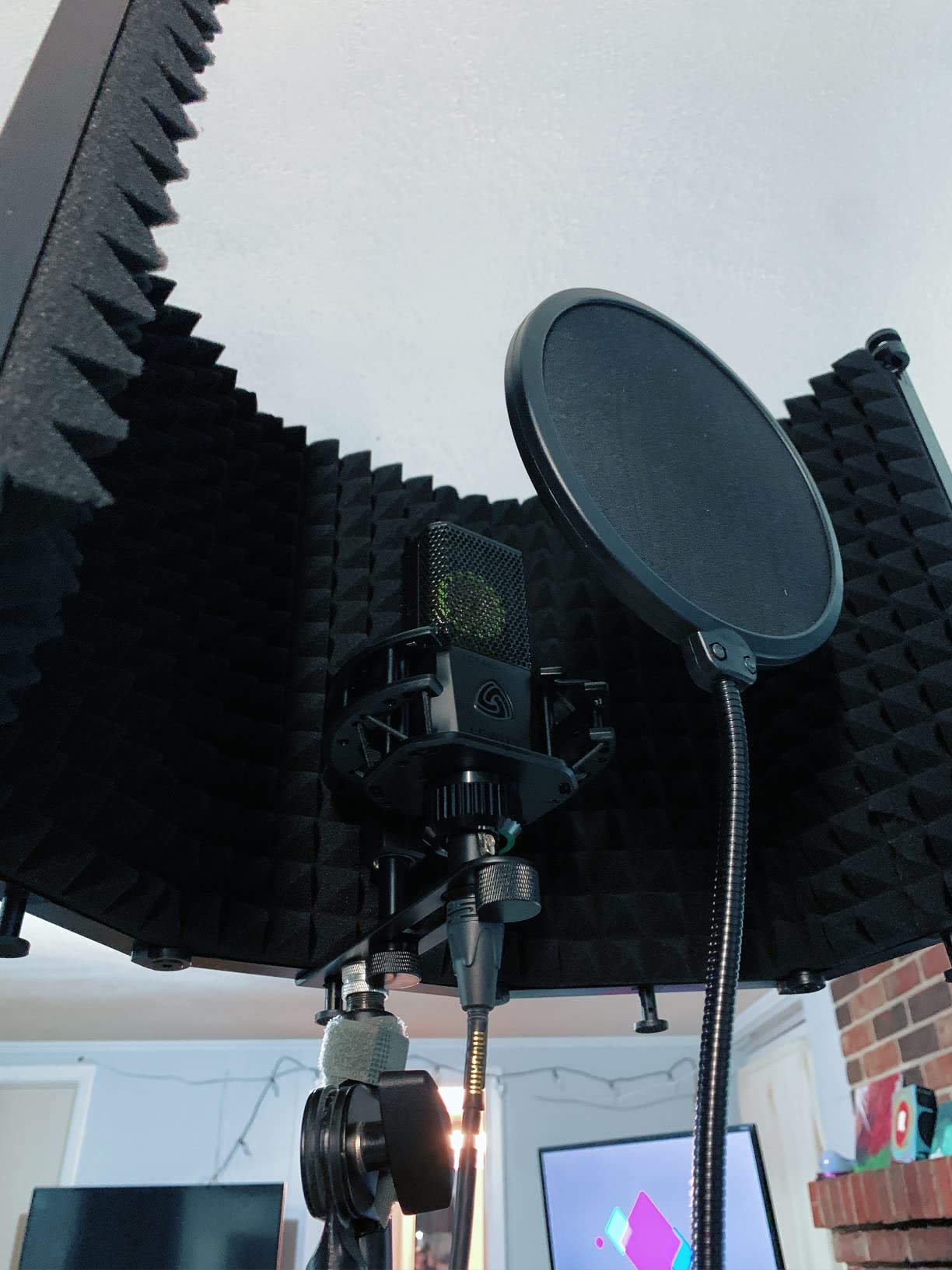 LEWITT LCT440PURE Large Diaphragm Condenser Mic customer photo 2