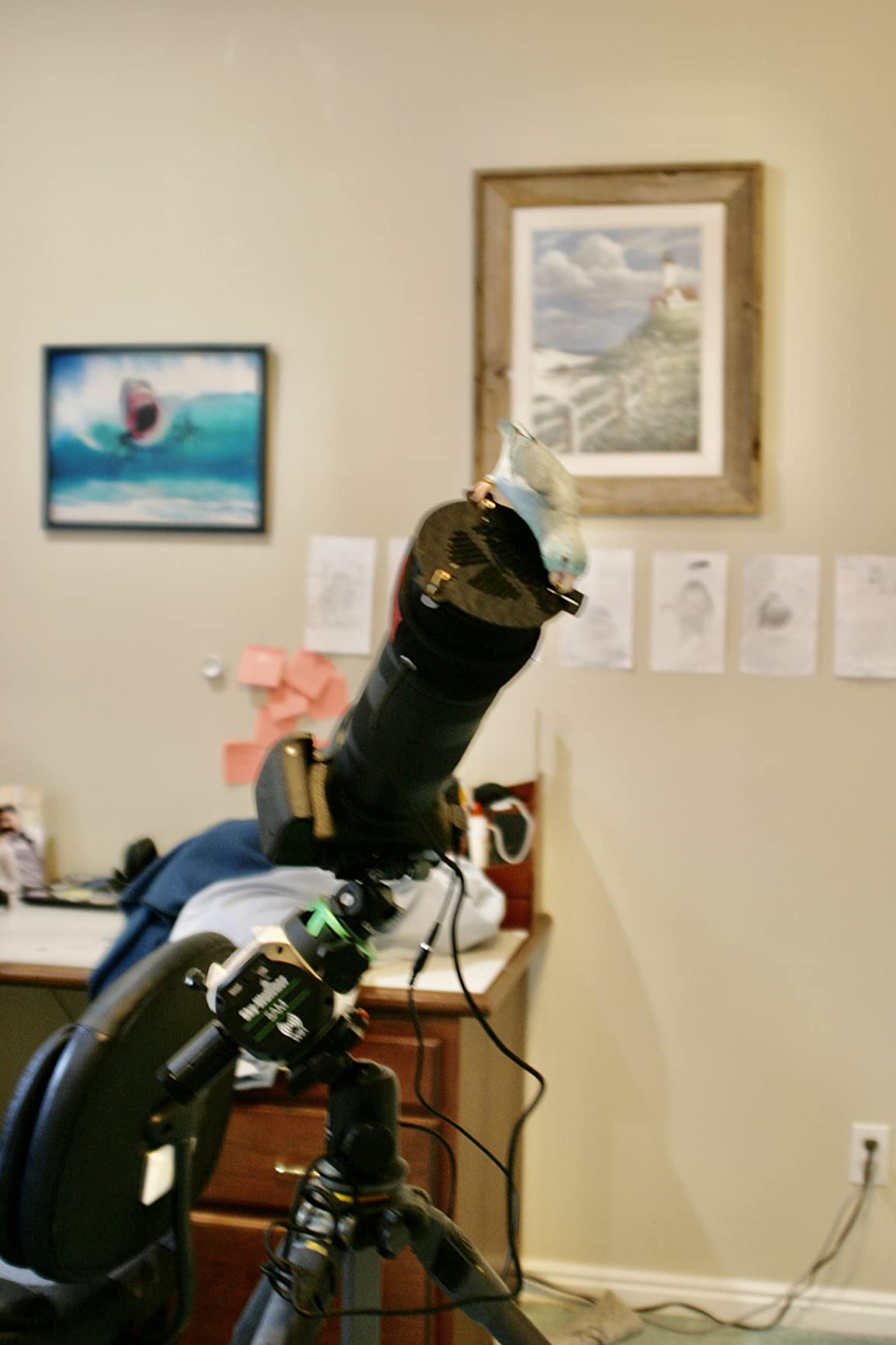 Sky-Watcher Star Adventurer Mini – Motorized DSLR Night Sky Tracking Mount For Nightscapes, Time-lapse, and Panoramas customer photo 1