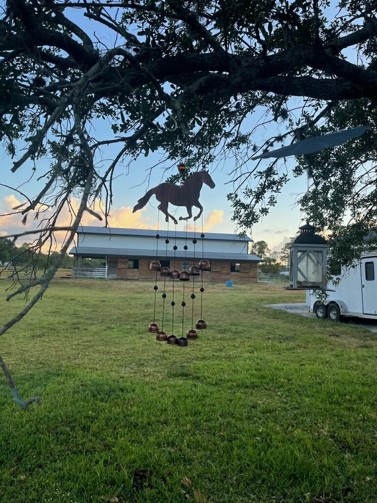 Dawhud Direct 24-inch H Galloping Horse Wind Chimes for Outside Unique - Moon Decor - Galloping Horse Windchimes - Outdoor Decorations - Garden Decoration, Gift for Women, Mom, Grandma, Unisex customer photo 1
