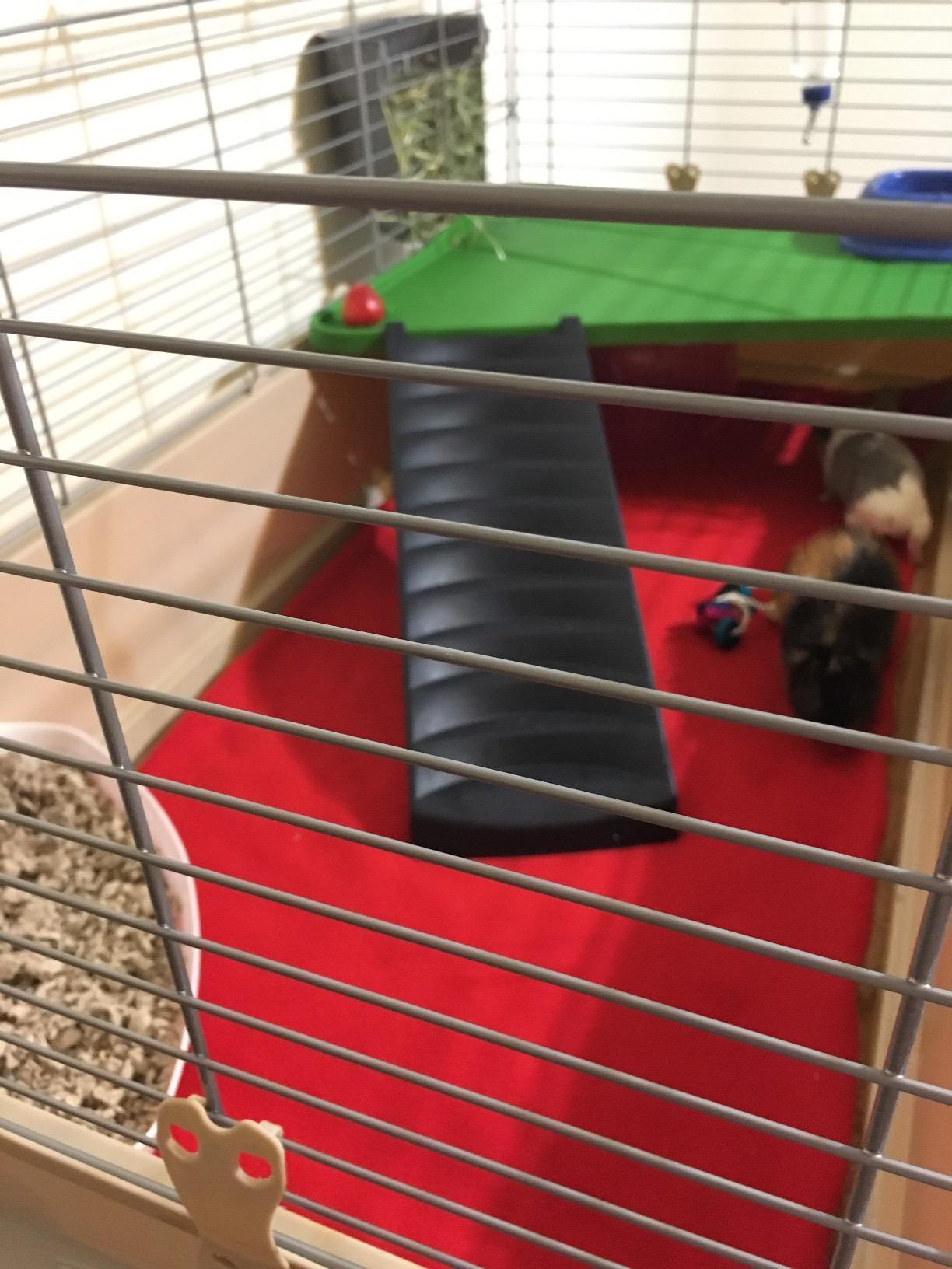 Amazon Basics Top Access Small Animal Habitat for Rabbit, Guinea Pig, Ferret & Chinchilla with Accessories, Jumbo, 48.6