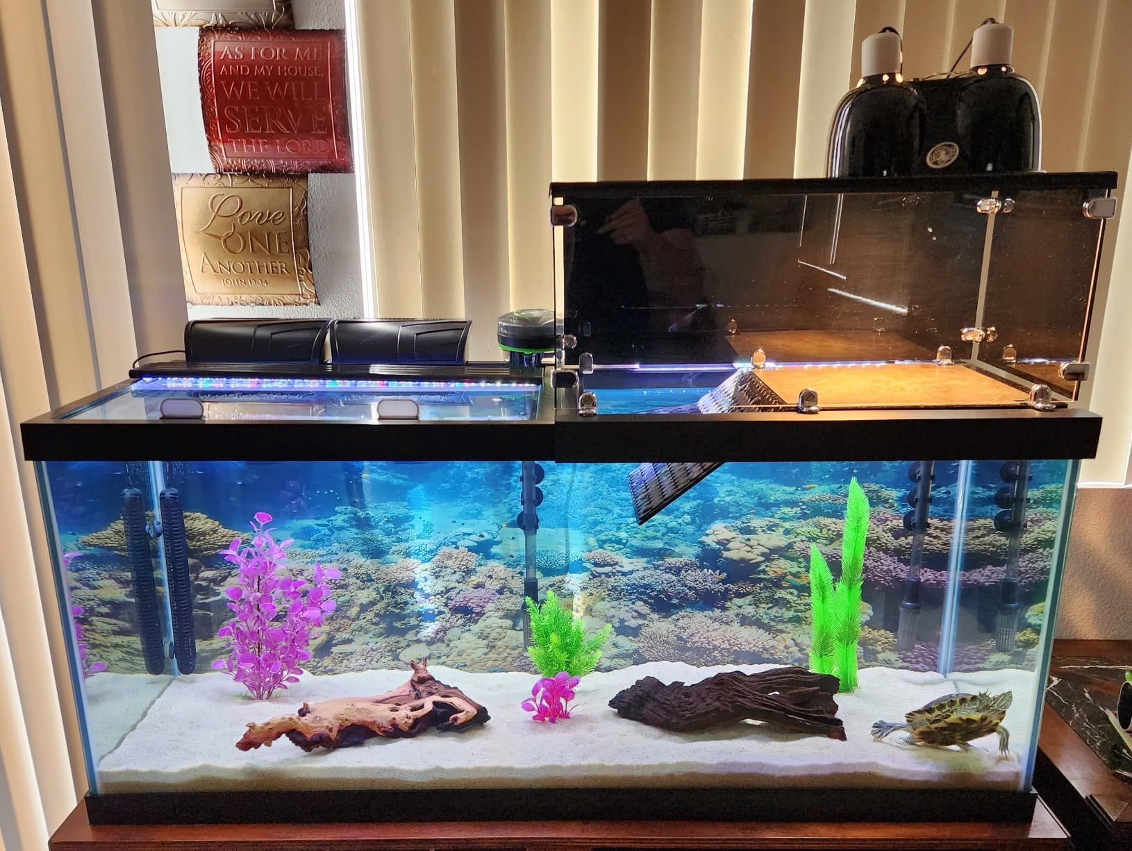 Aqueon QuietFlow Canister Aquarium Filter, Up to 55 Gallons (ECOM) customer photo 2
