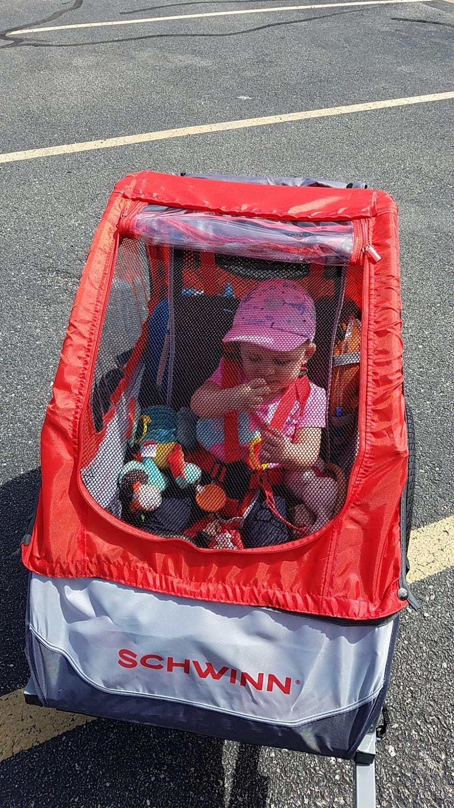 Schwinn Trailblazer Plus Kids Bike Trailer, Single Seat, Universal Coupler, Folding Frame, Quick-Release Wheels, Canopy with Bug Screen and Weather Shield, Schwinn Bike Trailer for Kids customer photo 1