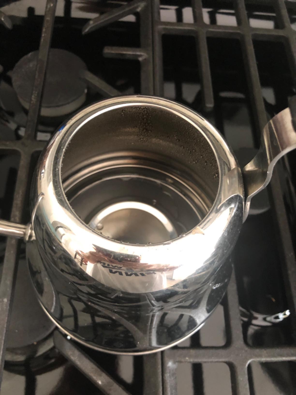 Tea Kettle for Stovetop, Gooseneck Pour Over, Flow Control, 28oz, Silver customer photo 2