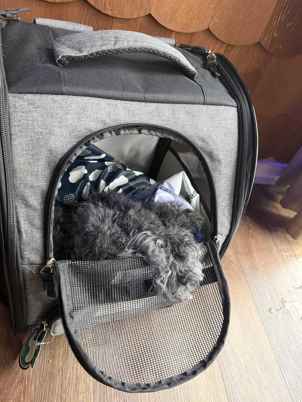 PetAmi Dog Backpack Carrier Airline Approved Cat Pet Puppy Bag, Black customer photo 1