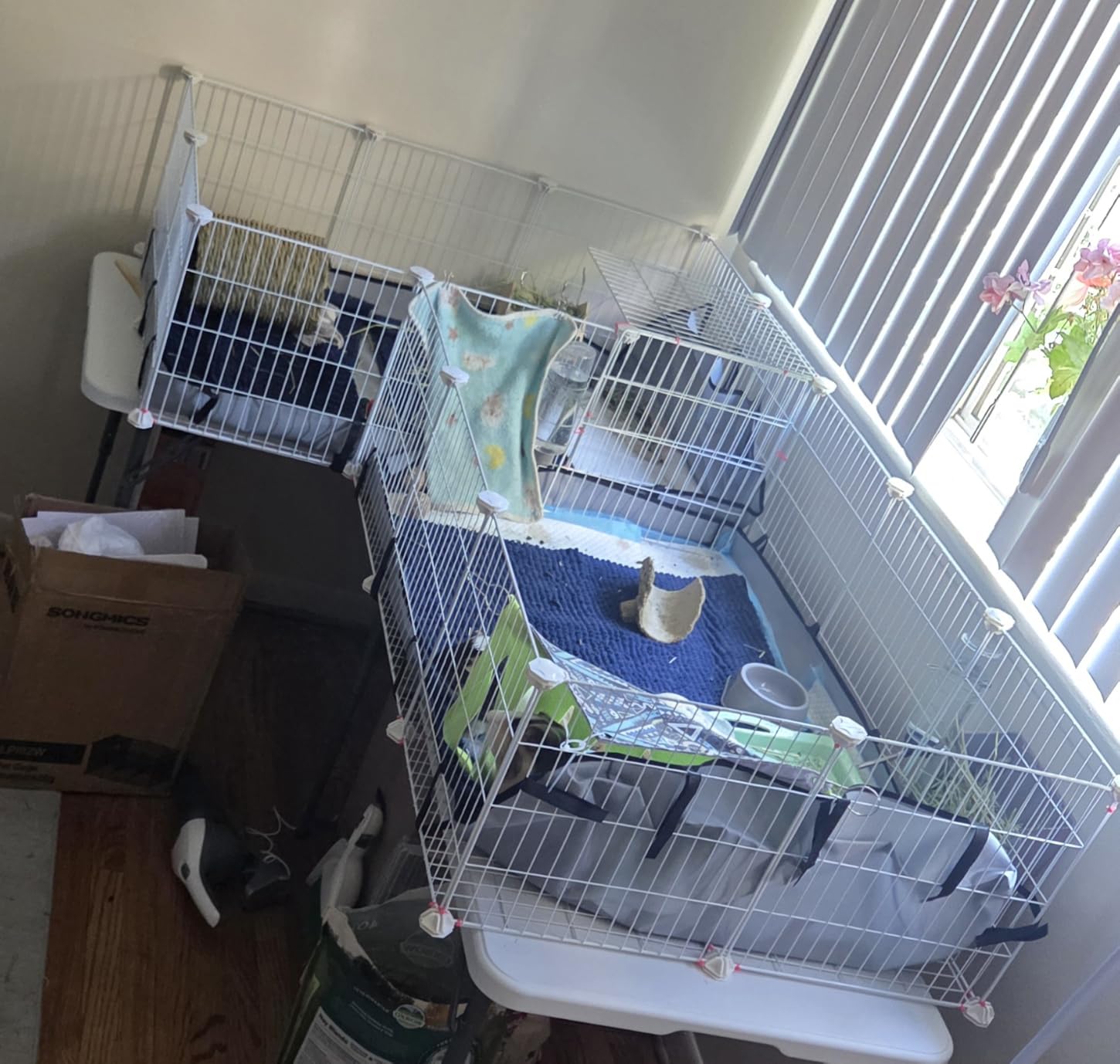 SONGMICS Pet Playpen, Small Animal Playpen customer photo 1