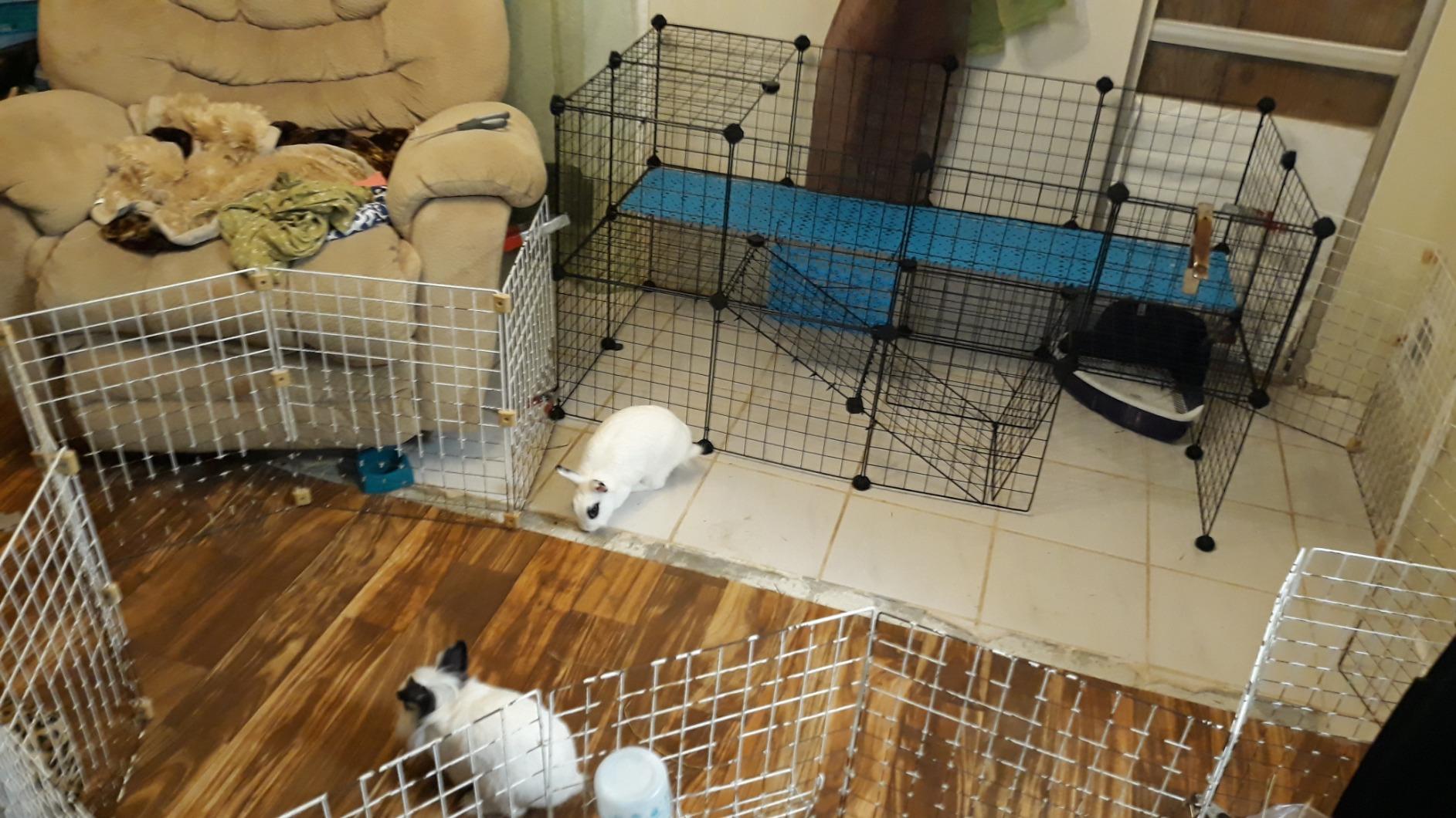 SONGMICS Pet Playpen, Small Animal Playpen customer photo 2