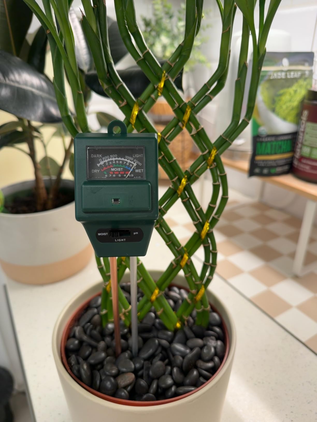 SONKIR Soil pH Meter, MS02 3-in-1 Soil Moisture/Light/pH Tester Gardening Tool Kits for Plant Care, Great for Garden, Lawn, Farm, Indoor & Outdoor Use (Green) customer photo 1