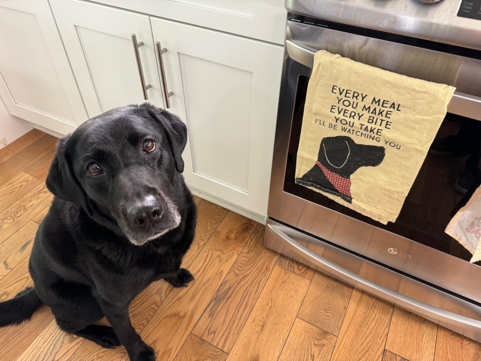 Primitives by Kathy Funny Kitchen Towel, Gifts for Dog Lovers, Bandana Dog Every Meal You Make I’ll Be Watching You, Machine Washable, 28 by 28 Inches, Rustic Pet Kitchen Décor, Tan Cotton customer photo 1