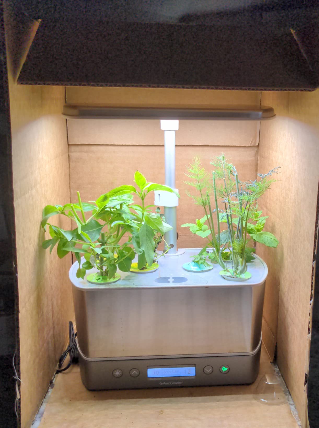 AeroGarden Harvest Elite, Stainless Steel customer photo 1