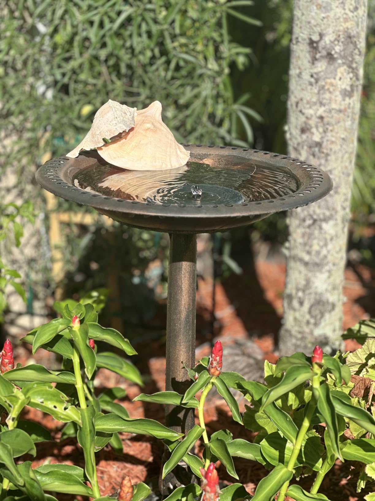 VIVOHOME Bird Bath for Outside, Polyresin, Pedestal, Antique Copper customer photo 1