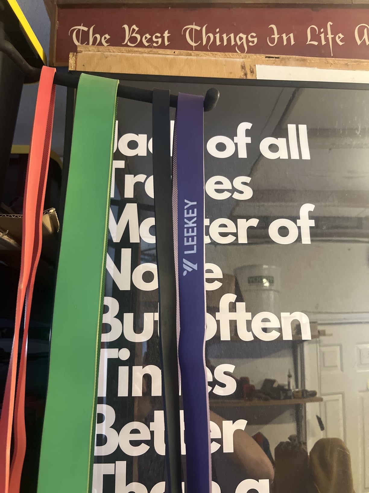 LEEKEY Resistance Bands Set for Pull Up Assistance & Exercise customer photo 1