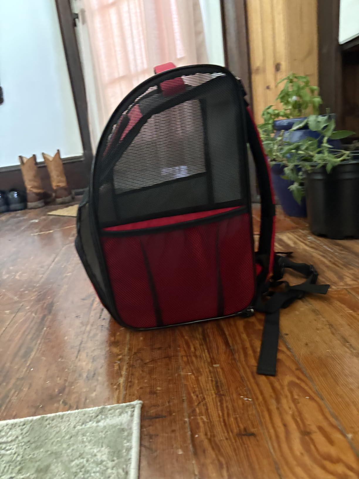 PetAmi Dog Backpack Carrier Airline Approved Cat Pet Puppy Bag, Purple customer photo 1