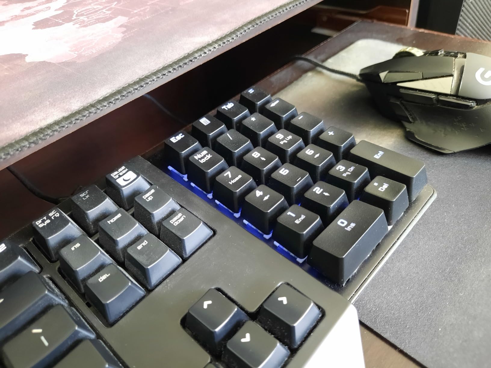 Mechanical Numeric Keypad, 22-Key USB Numpad for Laptop with LED Backlight customer photo 2