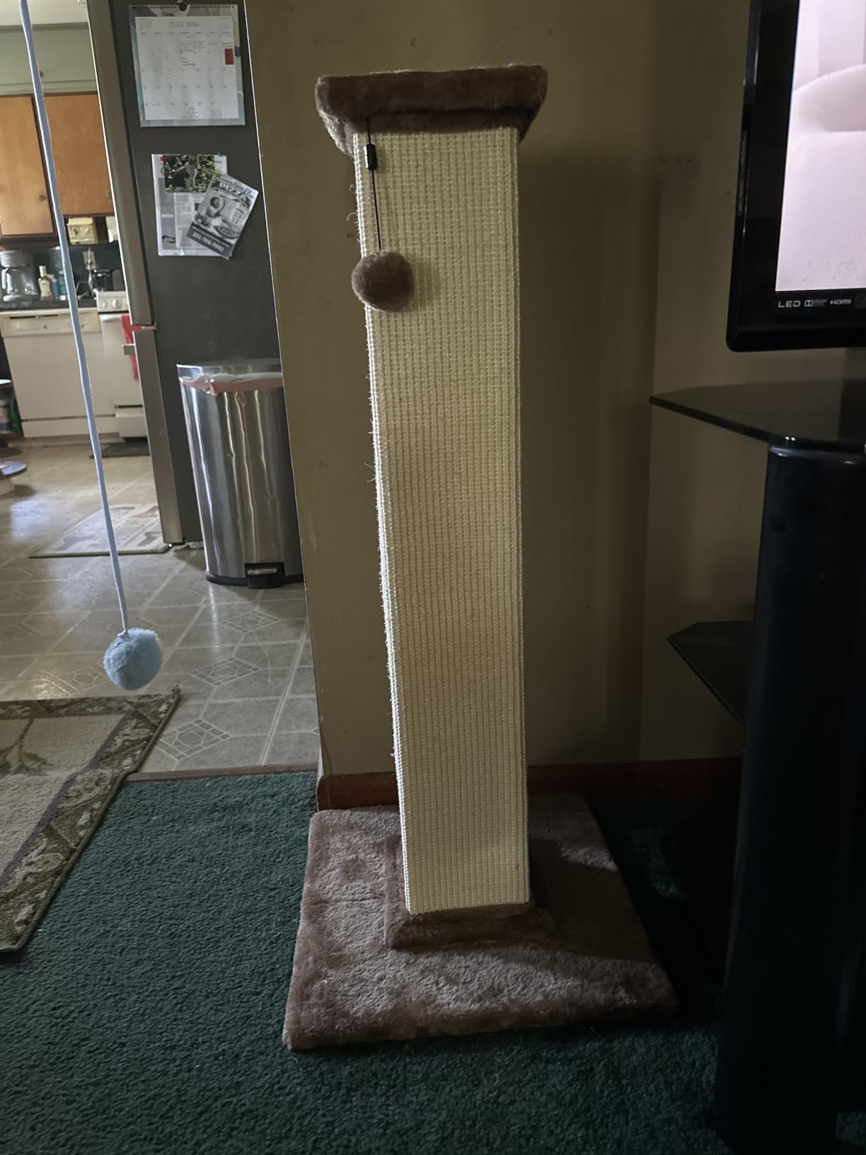 Amazon Basics Sturdy Cat Scratching Post for Indoor Cats & Kittens, Classic Single Post with Sisal Rope, Jute Fiber, Wood Base, Large (35.4