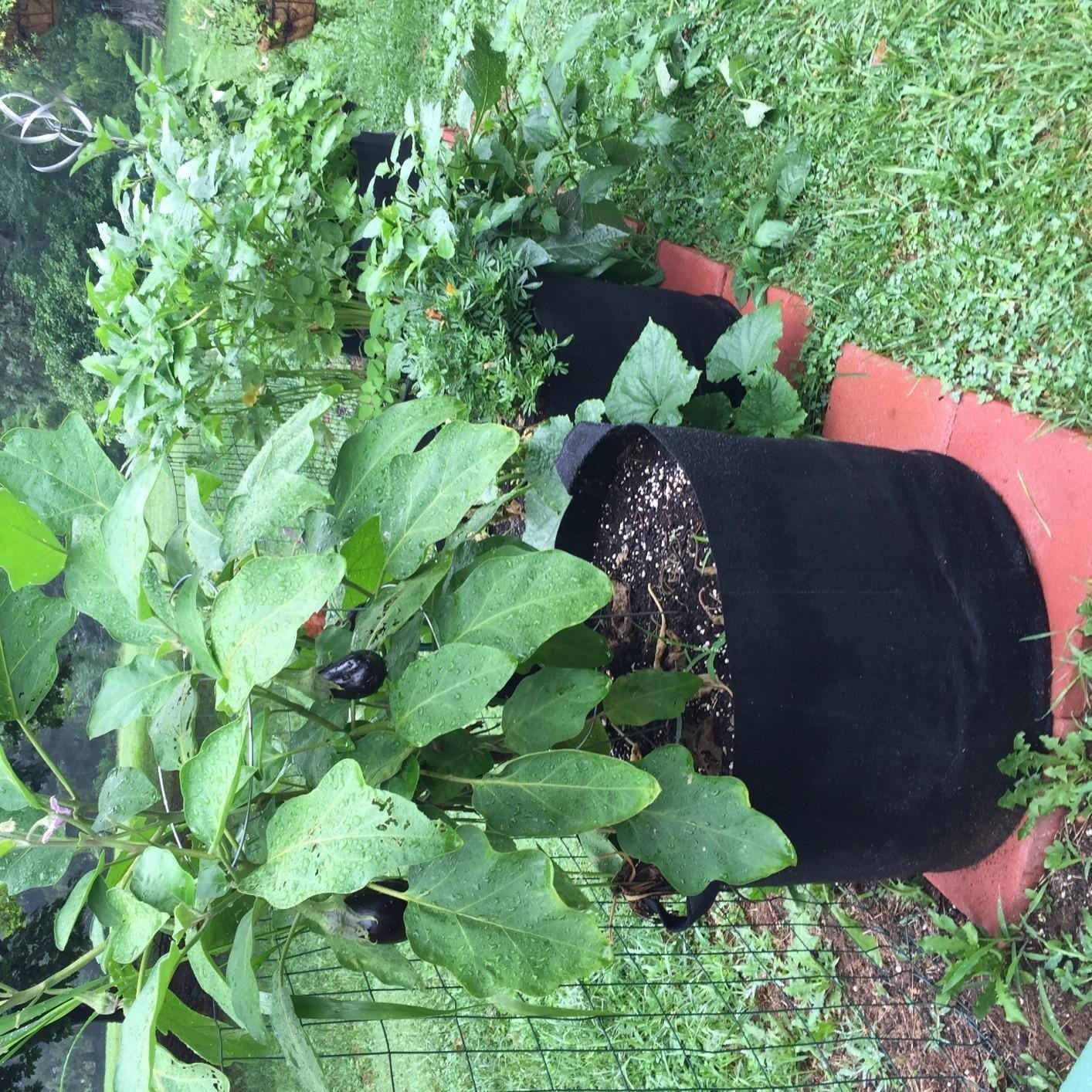 247Garden 2-Pack 50 Gallon Grow Bags/Aeration Fabric Pots w/Handles (Black) customer photo 1
