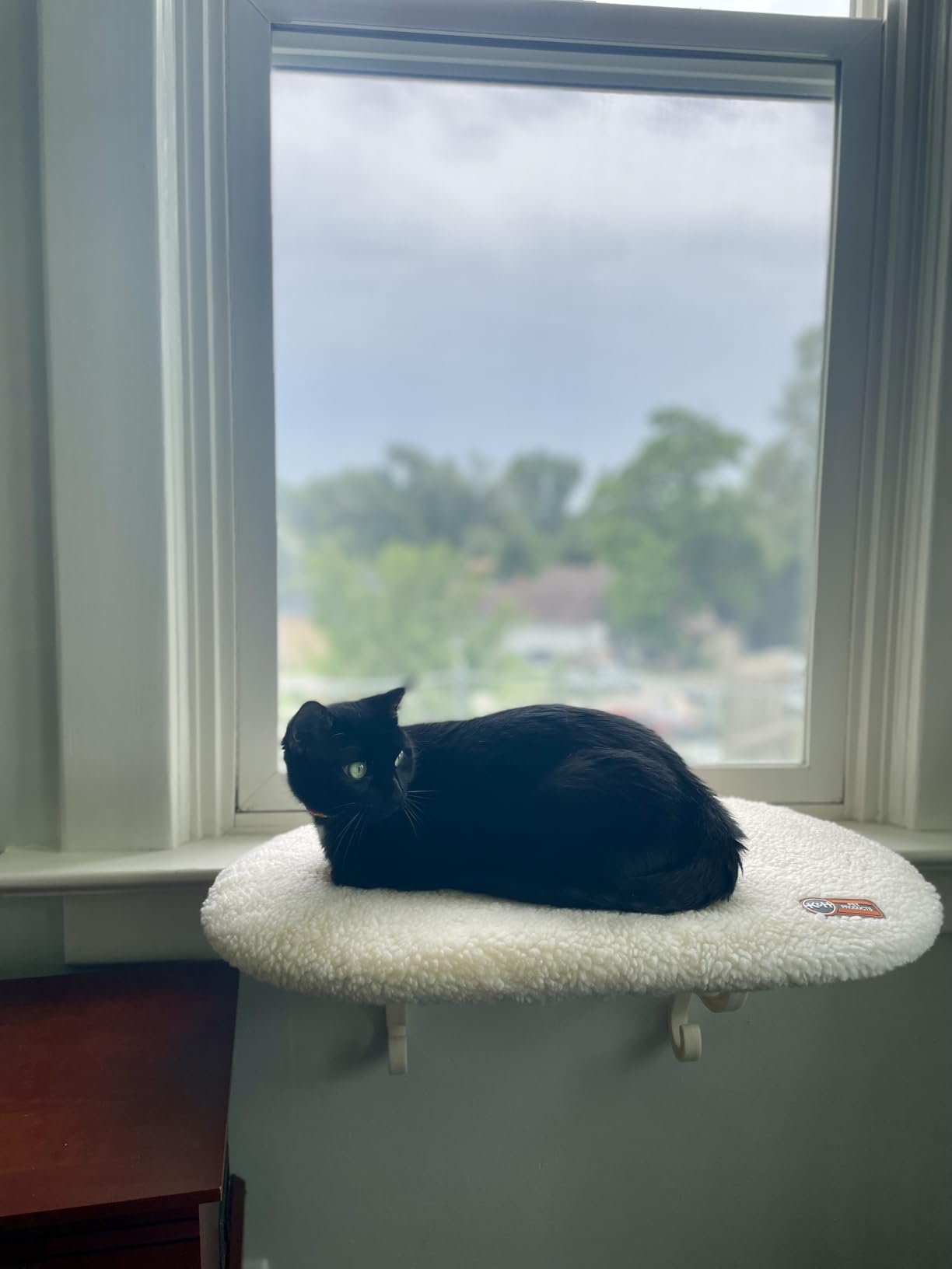 K&H Cat Window Perch, Unheated Kitty Sill, 24x14in, Fleece customer photo 2
