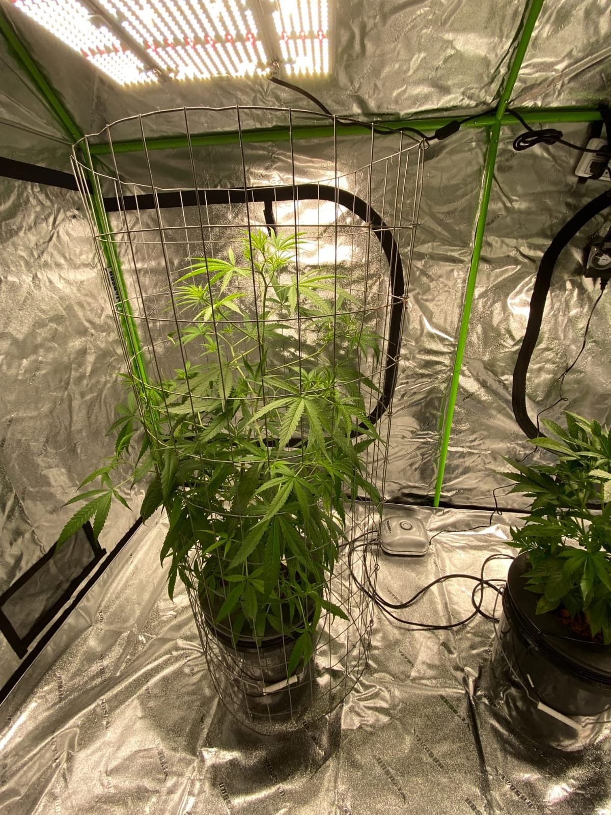 VIVOSUN 2-in-1 4x3 Grow Tent 48